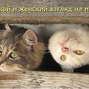 ���� ������, ������ - ��������� 23 ������� 2013 � ������ �������