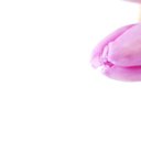 ���� �����, ���� - ��������� 9 ����� 2014 � ������ ���� ����������