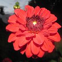 ���� �����, �������, 51 ��� - ��������� 14 ������ 2014