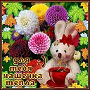 ���� ������, ������, 46 ��� - ��������� 31 ������ 2014 � ������ ���� �������� ���������.�