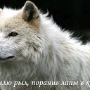 ���� ��� �����, ��� - ��������� 9 ����� 2014 � ������ ���� ����������