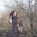 ���� �����, ��������������, 41 ��� - ��������� 10 ����� 2014 � ������ ���� ����������