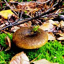 ׸���� ������. �� ������� ����������.�