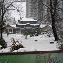 ���� �����, ����, 51 ��� - ��������� 26 ������ 2013 � ������ ���� ����������