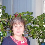 ������, 57 ���, �����