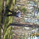 ���� Vladimir, ������, 58 ��� - ��������� 18 �������� 2013 � ������ ���� ����������