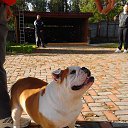 ���� �����, ���������, 46 ��� - ��������� 20 ������ 2013 � ������ �"�