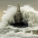 ���� Leon, �����, 47 ��� - ��������� 11 ����� 2014 � ������ ���� ����������