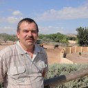 ���� ����, ��������, 63 ���� - ��������� 31 ������� 2013