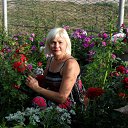 ���� ������, �������� - ��������� 17 ������� 2013 � ������ ������ ��������