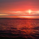 ���� Roman, �����������, 53 ���� - ��������� 8 ������� 2013 � ������ ���� ����������