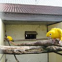 ���� ������, ������, 64 ���� - ��������� 21 �������� 2013 � ������ �� ����� ���� "�������" 18.09.2013�