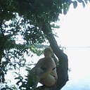 ���� �������, ��������, 55 ��� - ��������� 9 ������� 2013 � ������ ����������� ��������.�