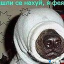 ���� ����, ������, 54 ���� - ��������� 19 ������� 2013 � ������ �������