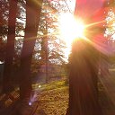 ����� � ���� ���������"�������� �����" �� ������� ������ �� ������ ���� 2013�