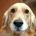 ���� ������, ���������, 49 ��� - ��������� 29 ������ 2014