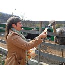 ���� �������, ������ ��������, 41 ��� - ��������� 12 ������� 2013 � ������ ���� ����������