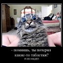 ���� �������� - ������ �������� �� ��������!!!!!!!!, ������ - ��������� 27 ������ 2013 � ������ ���� ����������