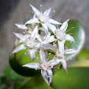 ���� ������, ������, 46 ��� - ��������� 24 ������ 2014 � ������ ���� ����������