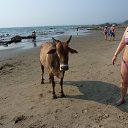 ���� �������, ���������� - ��������� 10 ������� 2013 � ������ ���� ����������