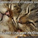 ���� ����, ����������, 45 ��� - ��������� 19 ������ 2014 � ������ ���� ����������