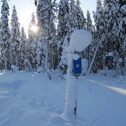 ��� ���, ������, 62 ����