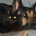 ������ ���� �������� �� ������� ������ ��������