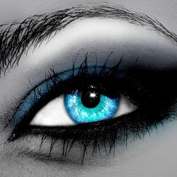 �����, ������������, 49 ���