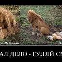 ���� ����, ������, 54 ���� - ��������� 19 ������� 2013 � ������ �������