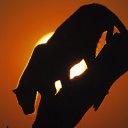 ���� �������, ����� - ��������� 21 ������� 2013