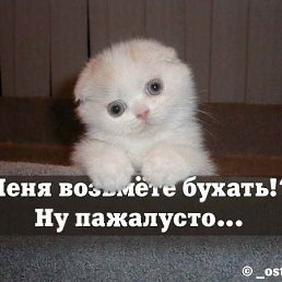 ���� ������, ������ ��������, 40 ��� - ��������� 25 �������� 2013