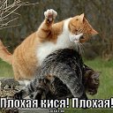 ���� ����, ����������, 39 ��� - ��������� 2 ������� 2014 � ������ ���� ����������