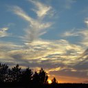  , , 68  -  7  2013      .