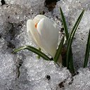 ���� �������, ���������, 48 ��� - ��������� 6 ����� 2014 � ������ ���� �����