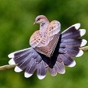 ���� ������, ������������, 63 ���� - ��������� 16 ������ 2013 � ������ �������� ��������� ������� "������ �����"�