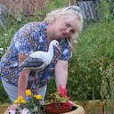 ���� �������, ����������, 64 ���� - ��������� 15 �������� 2013 � ������ ���� ����������