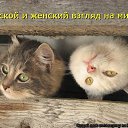 ���� ������, ������ - ��������� 7 ������� 2013