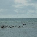 ���� ������, ������, 50 ��� - ��������� 10 ������� 2013 � ������ ������ ����!! (���� ���)�