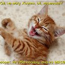 ���� �������, ���� - ��������� 27 ������� 2014 � ������ ���� ����������