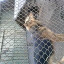 ���� John, �������, 67 ��� - ��������� 9 �������� 2013 � ������ �MOI PITOMCY�