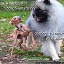���� ����, ������ - ��������� 5 ������� 2013 � ������ ���� ����������