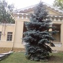 ���� �������, ����, 39 ��� - ��������� 7 �������� 2013 � ������ ������