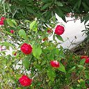 ���� ������, �������� - ��������� 30 �������� 2013 � ������ ���� ����������