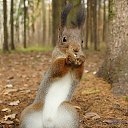 ���� Job, ������ - ��������� 26 ������� 2013 � ������ ���� ����������