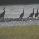 ���� ��� �� �����, �����-������, 56 ��� - ��������� 25 ������� 2013 � ������ ���� ����������