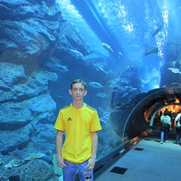 ���� ������� �����, ������, 37 ��� - ��������� 22 ������ 2013