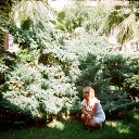 ������ 2012 �. �� ������� ���� ����������