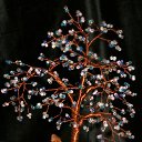 ���� �����, �����, 64 ���� - ��������� 20 ������� 2014 � ������ ���� ��������߻