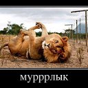 ���� ���, ������ - ��������� 18 ������� 2013 � ������ ���������