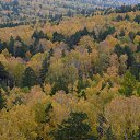 ���� Svann, ���������, 71 ��� - ��������� 6 ������� 2013 � ������ ������. ��. �������.�